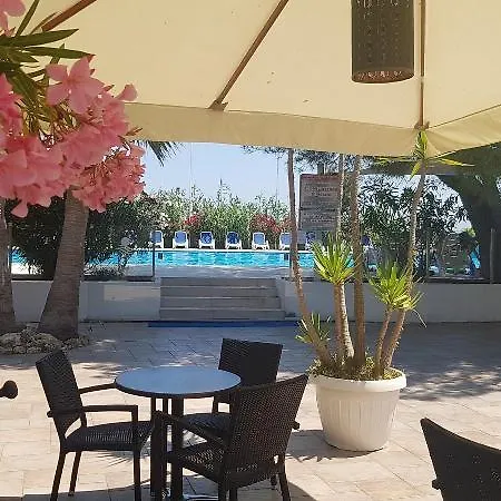 Gabbiano 4*