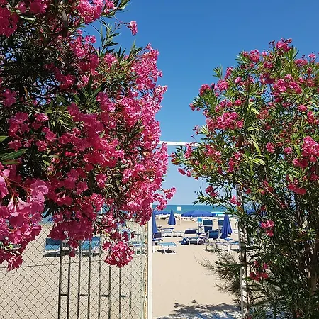 Gabbiano Hotell Vieste